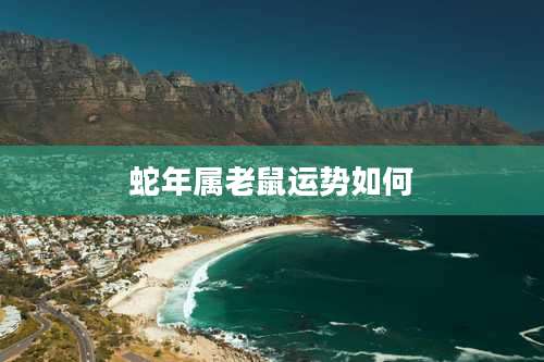 蛇年属老鼠运势如何