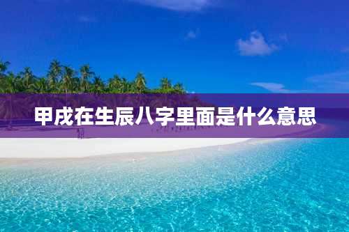 甲戌在生辰八字里面是什么意思