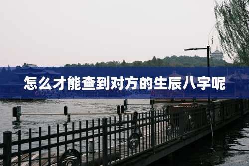 怎么才能查到对方的生辰八字呢