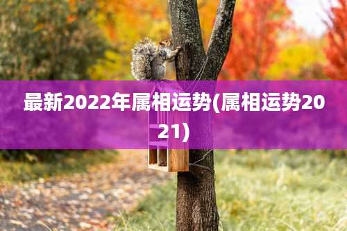 最新2022年属相运势(属相运势2021)