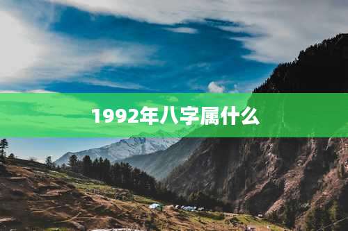 1992年八字属什么