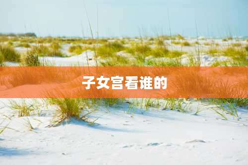子女宫看谁的
