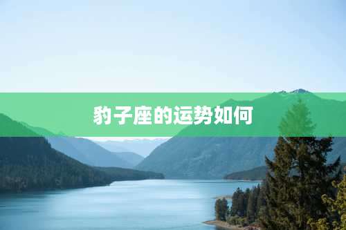 豹子座的运势如何