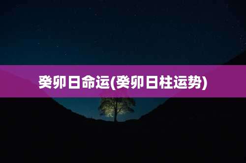 癸卯日命运(癸卯日柱运势)