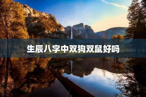 生辰八字中双狗双鼠好吗