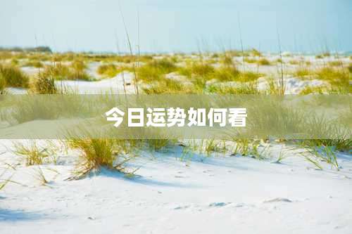 今日运势如何看