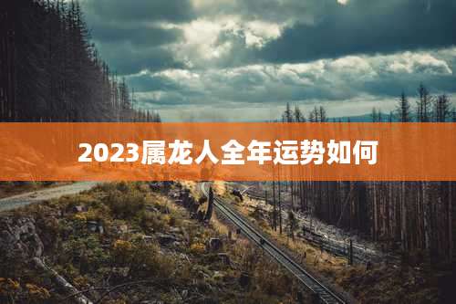 2023属龙人全年运势如何
