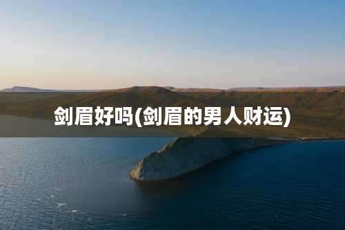 剑眉好吗(剑眉的男人财运)