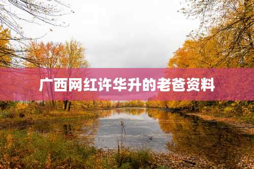 广西网红许华升的老爸资料