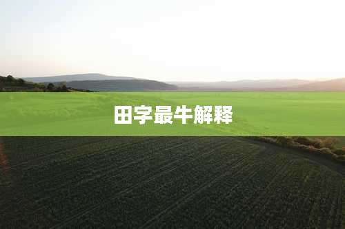 田字最牛解释