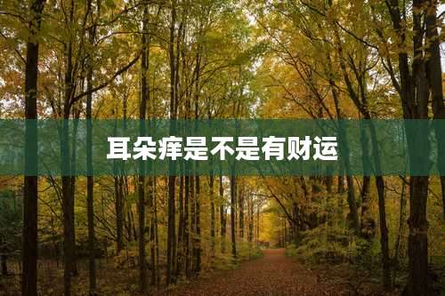 耳朵痒是不是有财运