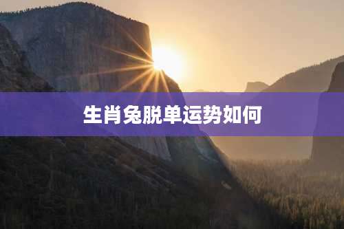 生肖兔脱单运势如何