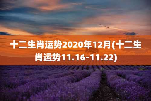 十二生肖运势2020年12月(十二生肖运势11.16-11.22)