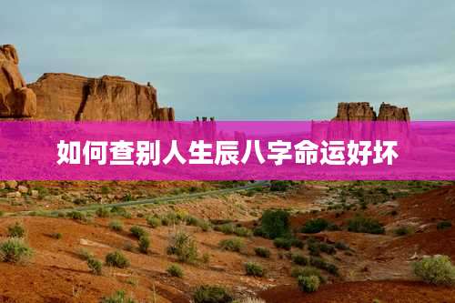 如何查别人生辰八字命运好坏