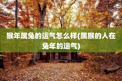 猴年属兔的运气怎么样(属猴的人在兔年的运气)