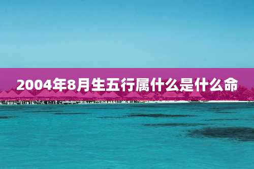 2004年8月生五行属什么是什么命