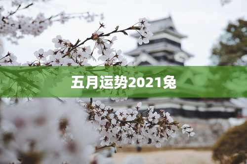 五月运势2021兔