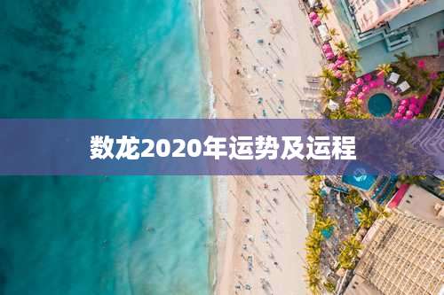 数龙2020年运势及运程