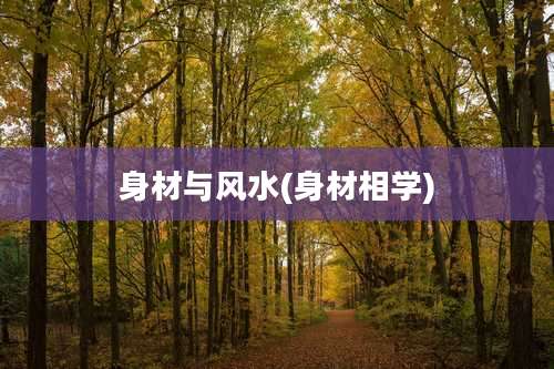 身材与风水(身材相学)