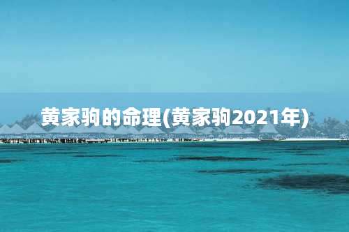 黄家驹的命理(黄家驹2021年)