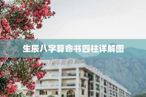 生辰八字算命书四柱详解图