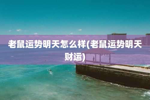 老鼠运势明天怎么样(老鼠运势明天财运)