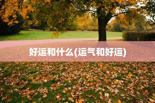 好运和什么(运气和好运)