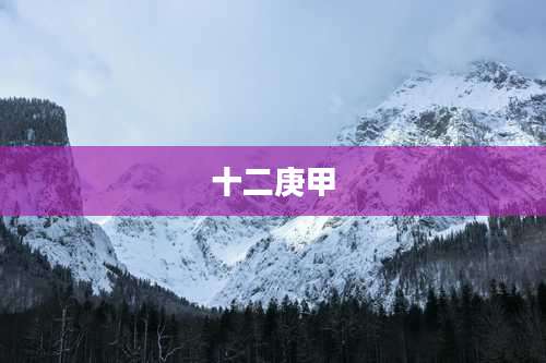 十二庚甲