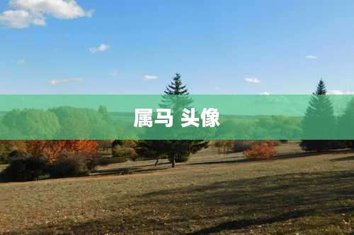 属马 头像
