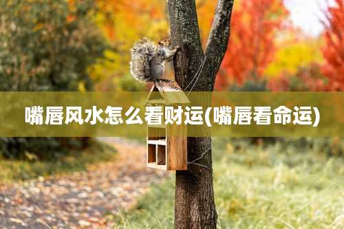 嘴唇风水怎么看财运(嘴唇看命运)