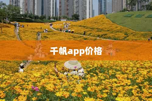 千帆app价格