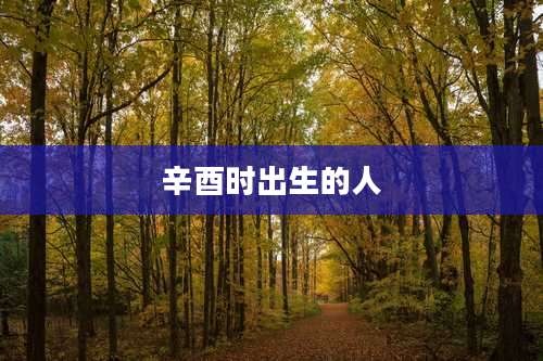辛酉时出生的人