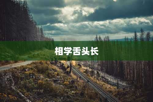 相学舌头长