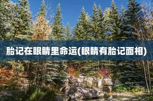 胎记在眼睛里命运(眼睛有胎记面相)