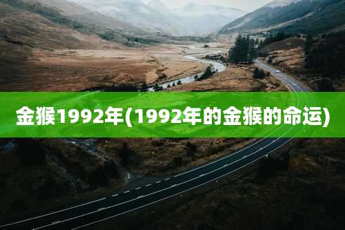 金猴1992年(1992年的金猴的命运)