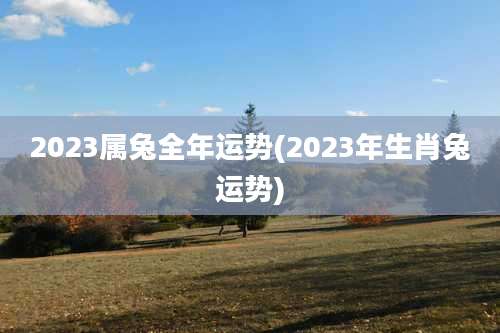 2023属兔全年运势(2023年生肖兔运势)