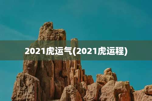 2021虎运气(2021虎运程)