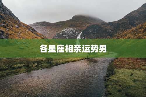 各星座相亲运势男