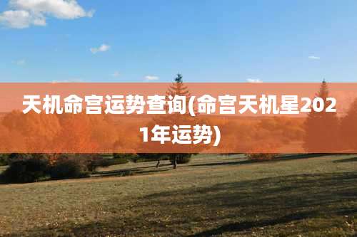 天机命宫运势查询(命宫天机星2021年运势)