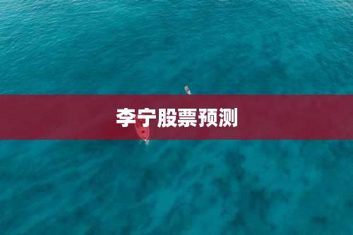 李宁股票预测