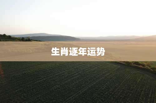 生肖逐年运势
