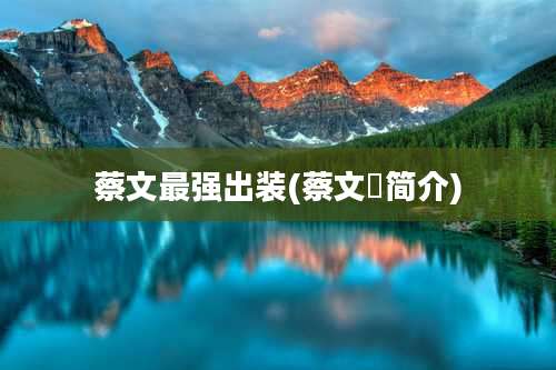 蔡文最强出装(蔡文姫简介)