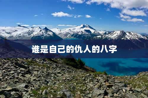 谁是自己的仇人的八字