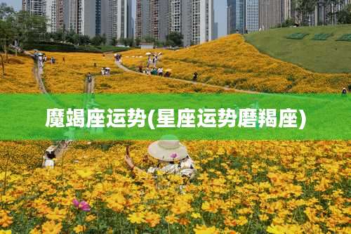 魔竭座运势(星座运势磨羯座)