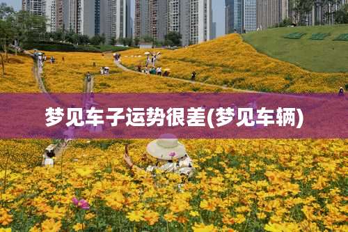 梦见车子运势很差(梦见车辆)