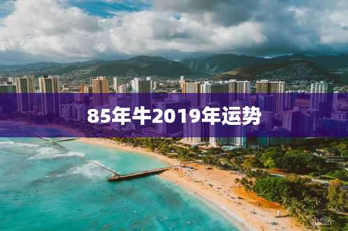 85年牛2019年运势