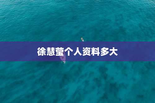 徐慧莹个人资料多大