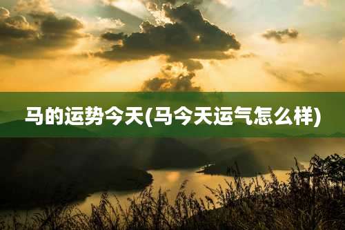 马的运势今天(马今天运气怎么样)