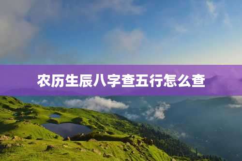 农历生辰八字查五行怎么查