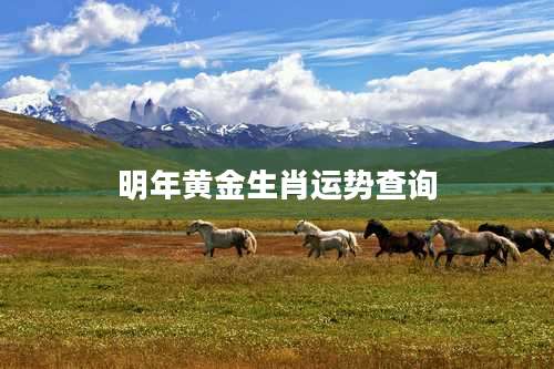 明年黄金生肖运势查询